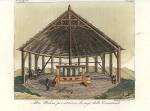 Sugarcane: African slaves processing sugarcane on a plantation