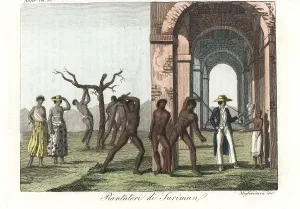 Mulatto: African slaves being tortured and beaten on