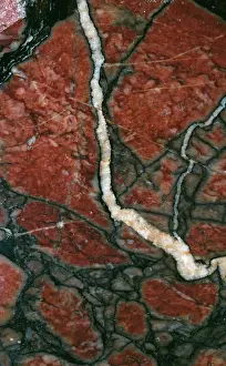 Decomposition: Africano Sanguigno, marble