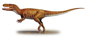Agility: Afrovenator abakensis, a prehistoric era dinosaur