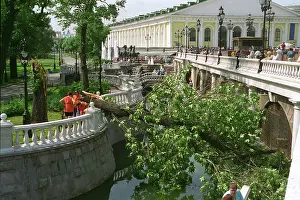 Zotin: Aftermath of hurricane in Moscow, 1998