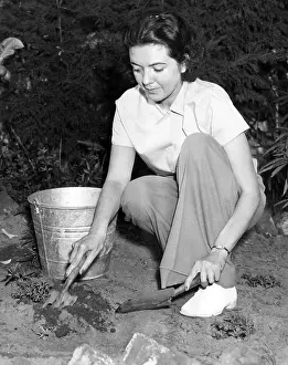 Trowel: Afternoon gardening