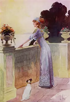 Chiffon: Afternoon Gown 1911