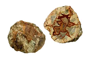 Agate: Agate thundereggs