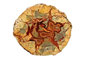 Gemstone: Agate thundereggs