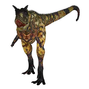 Terrible: An aggressive carnotaurus dinosaur