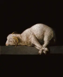 Sacrificial: Agnus Dei, by Zurbaran