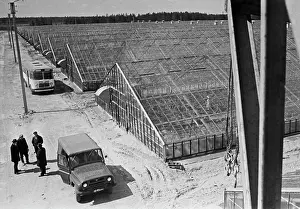 Greenhouse: Agricultural base