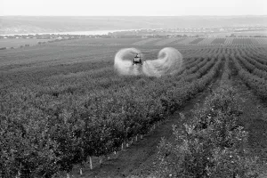 Watering: Agricultural Industry in Moldavia