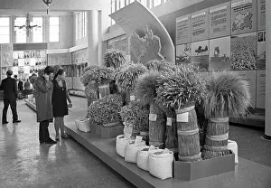 Myasnikov: Agricultural pavilion, 1972