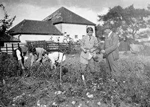 Engalnd: AGRICULTURAL STUDENTS