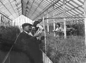 Swanley: AGRICULTURAL STUDENTS