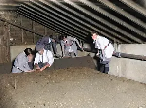 Swanley: AGRICULTURAL STUDENTS
