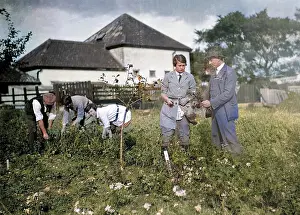 Engalnd: AGRICULTURAL STUDENTS