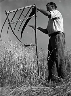 Scythes: Agricultural work