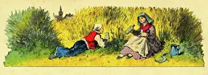 Fieldwork: Agricultural work