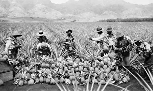 Exclusion: Agricultural workers possibly Japanese-Americans ?