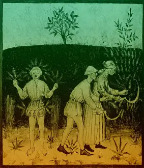 Scythe: Agriculture-1400s