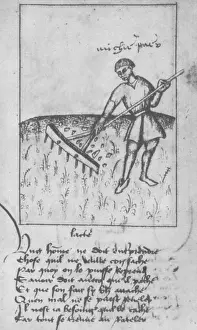 Raking: Agriculture, 15th Century