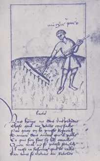 Raking: Agriculture, 15th Century