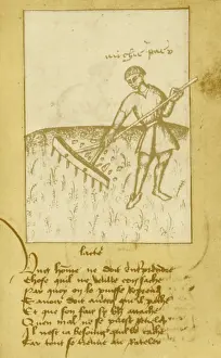 Raking: Agriculture, 15th Century