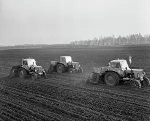 Preparatory: Agriculture of Algeria