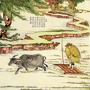 Harrowing: Agriculture in China -- harrowing