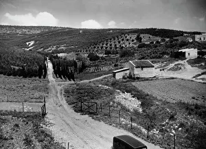 Kluger: Agriculture collective in Palestine