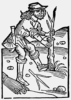 Speyer: agriculture, farm labour, grafting of a tree