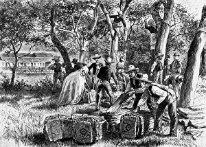 Farmhands: agriculture, forestry, exfoliating cork oaks