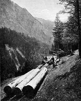 Graubuenden: agriculture, forestry, lumber transporting facility