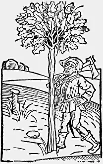 Ruralia: agriculture, forestry, lumberjack, woodcut, Ruralia
