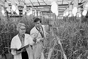 Greenhouse: Agriculture Institute