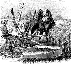 Fieldwork: agriculture, machines, mower of the ironworks