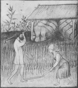 Reaping: Agriculture, Medieval Farming