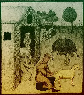 Reaping: Agriculture, Medieval Farming