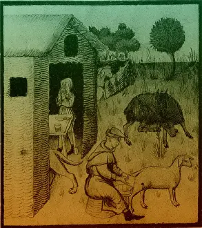 Reaping: Agriculture, Medieval Farming
