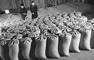 Checked: Agriculture in Siberia