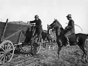 Exploitation: Agriculture in the so-called Wartheland, 1941