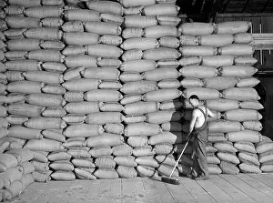 Walla: agriculture - wheat - grains - warehouse - occupations