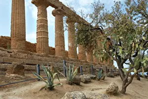Agrigento: Agrigento