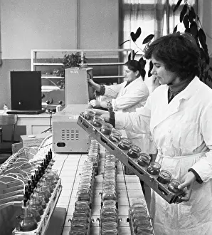 Inspecting: Agrochemical Laboratory