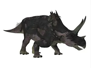 Ceratopsian: Agujaceratops dinosaur, side profile