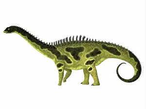 Spiked: Agustinia dinosaur, side profile on white background