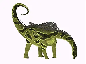 Spiked: Agustinia dinosaur, side view on white background