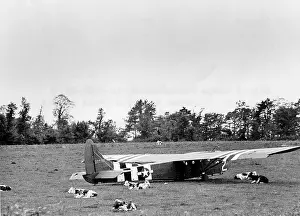 Cattles: US Air Force glider which landed intact in Normandy, WW2