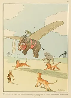 Blessings: Airborne Animals