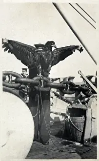 Width: Aircraft carrier HMS Eagle with mascot