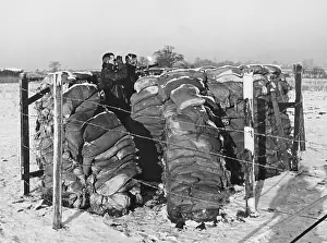 Defences: Aircraft Observer Post, WWII
