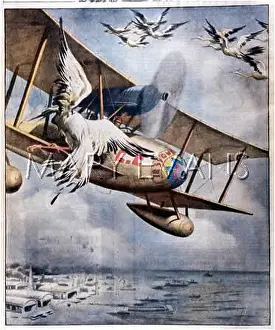Prompt: AIRCRAFT AND STORKS